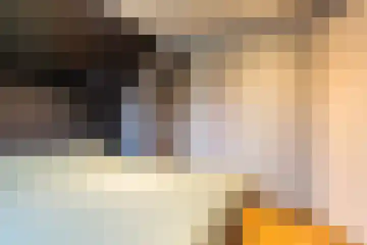 Spekloane 18 Boelenslaan thumbnail 41
