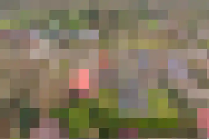 Spekloane 18 Boelenslaan thumbnail 52