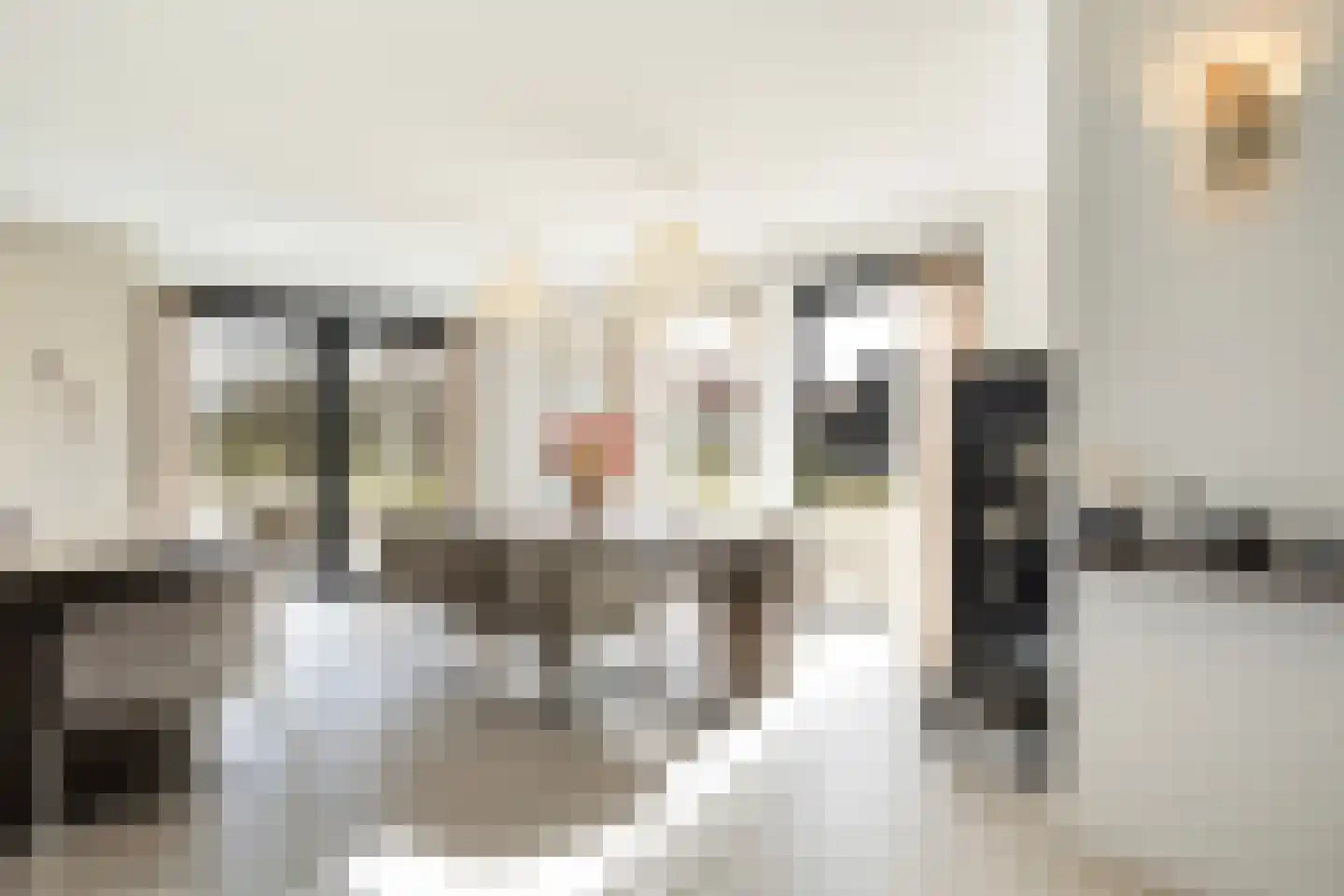 Spekloane 29 Boelenslaan thumbnail 26