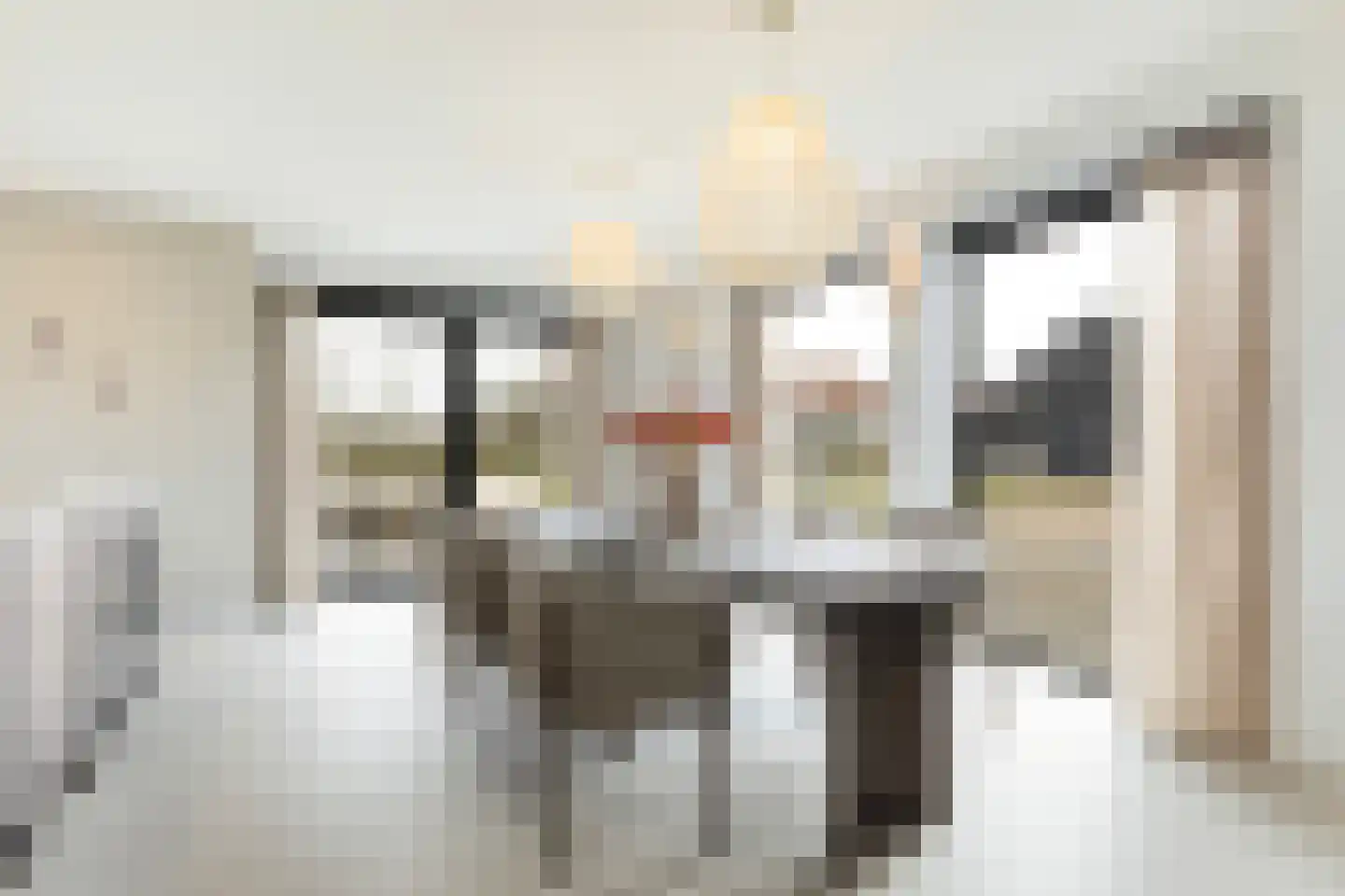 Spekloane 29 Boelenslaan thumbnail 27
