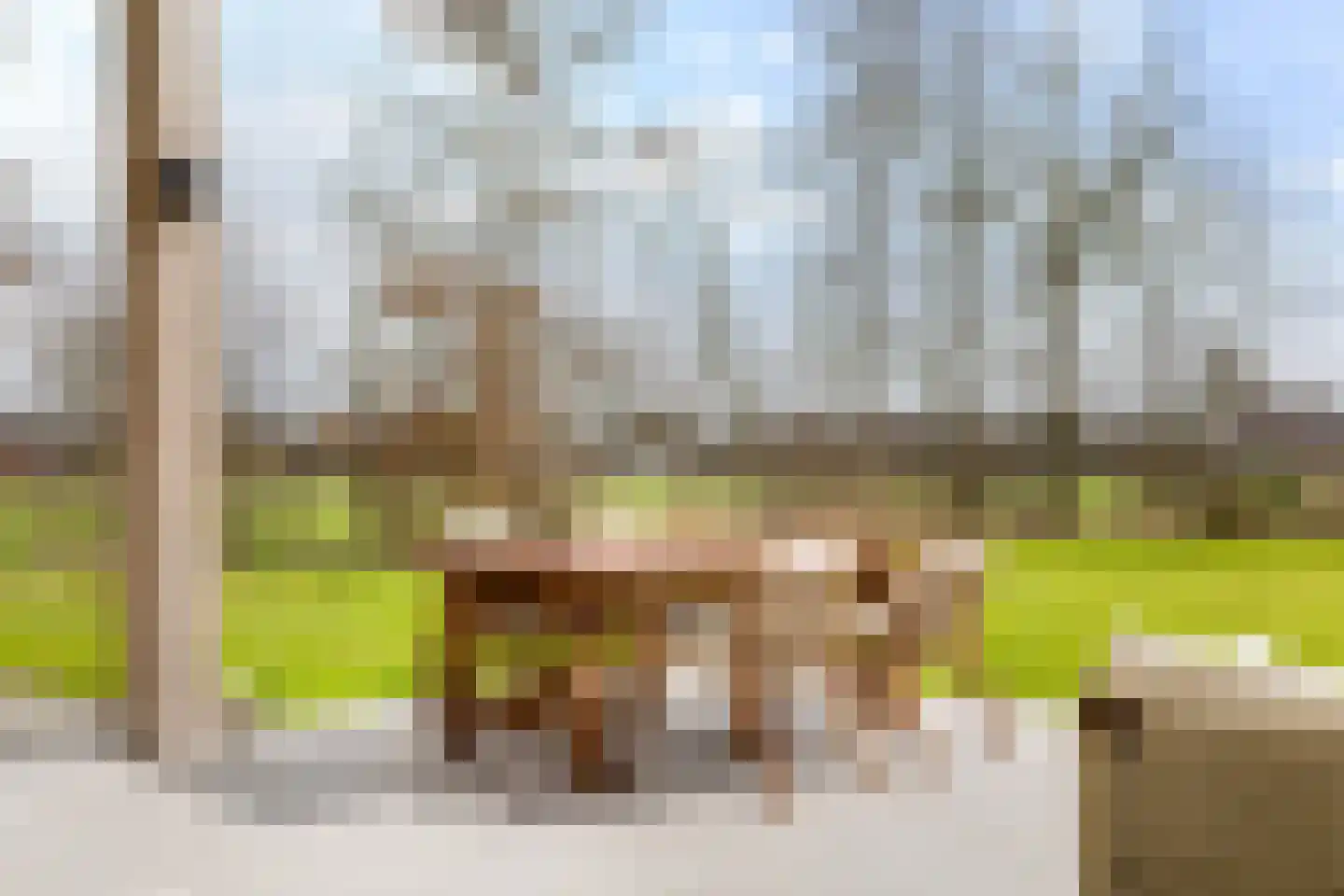 Spekloane 29 Boelenslaan thumbnail 43