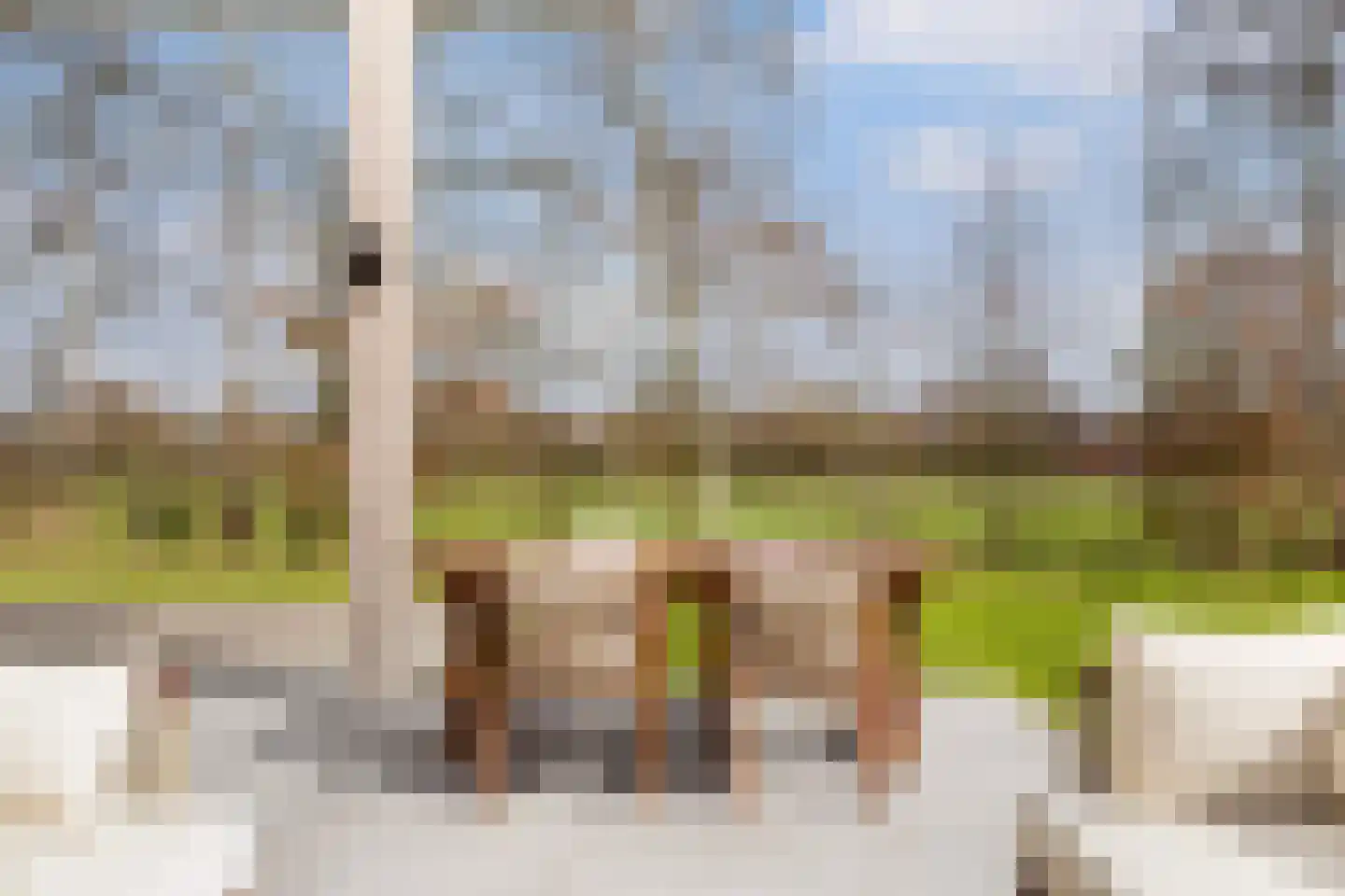 Spekloane 29 Boelenslaan thumbnail 44