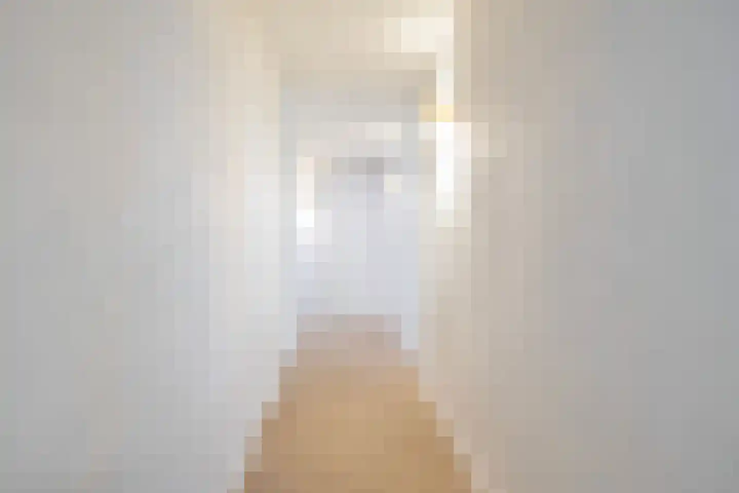 Spekloane 29 Boelenslaan thumbnail 46
