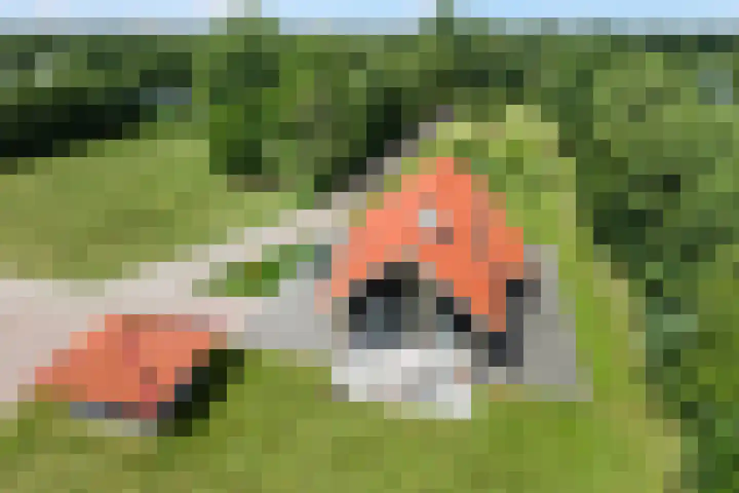 Spekloane 29 Boelenslaan thumbnail 5