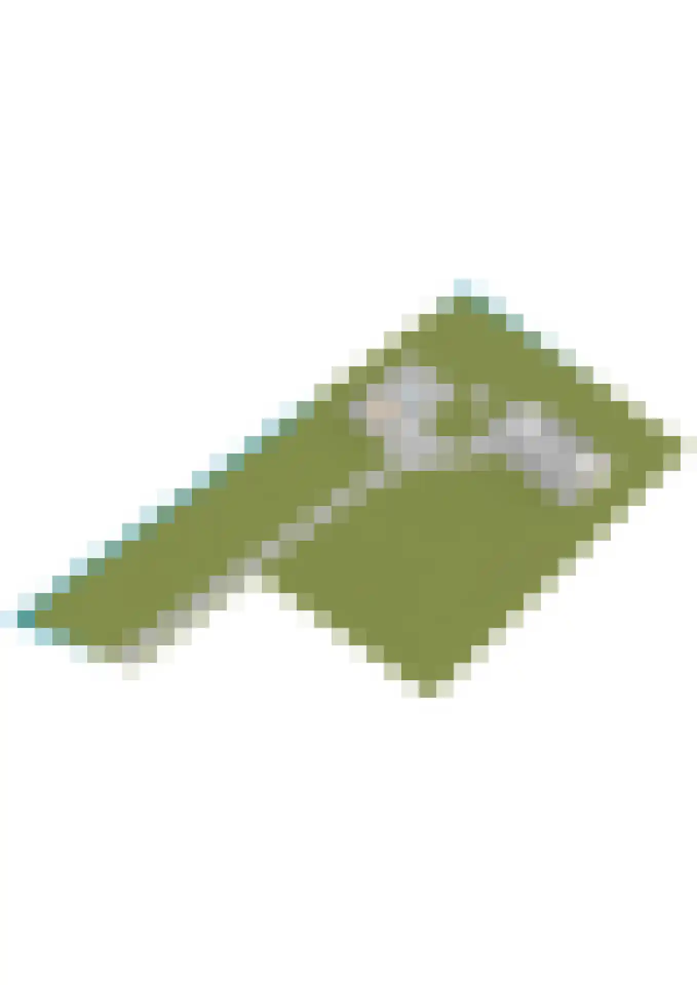 Spekloane 29 Boelenslaan thumbnail 69