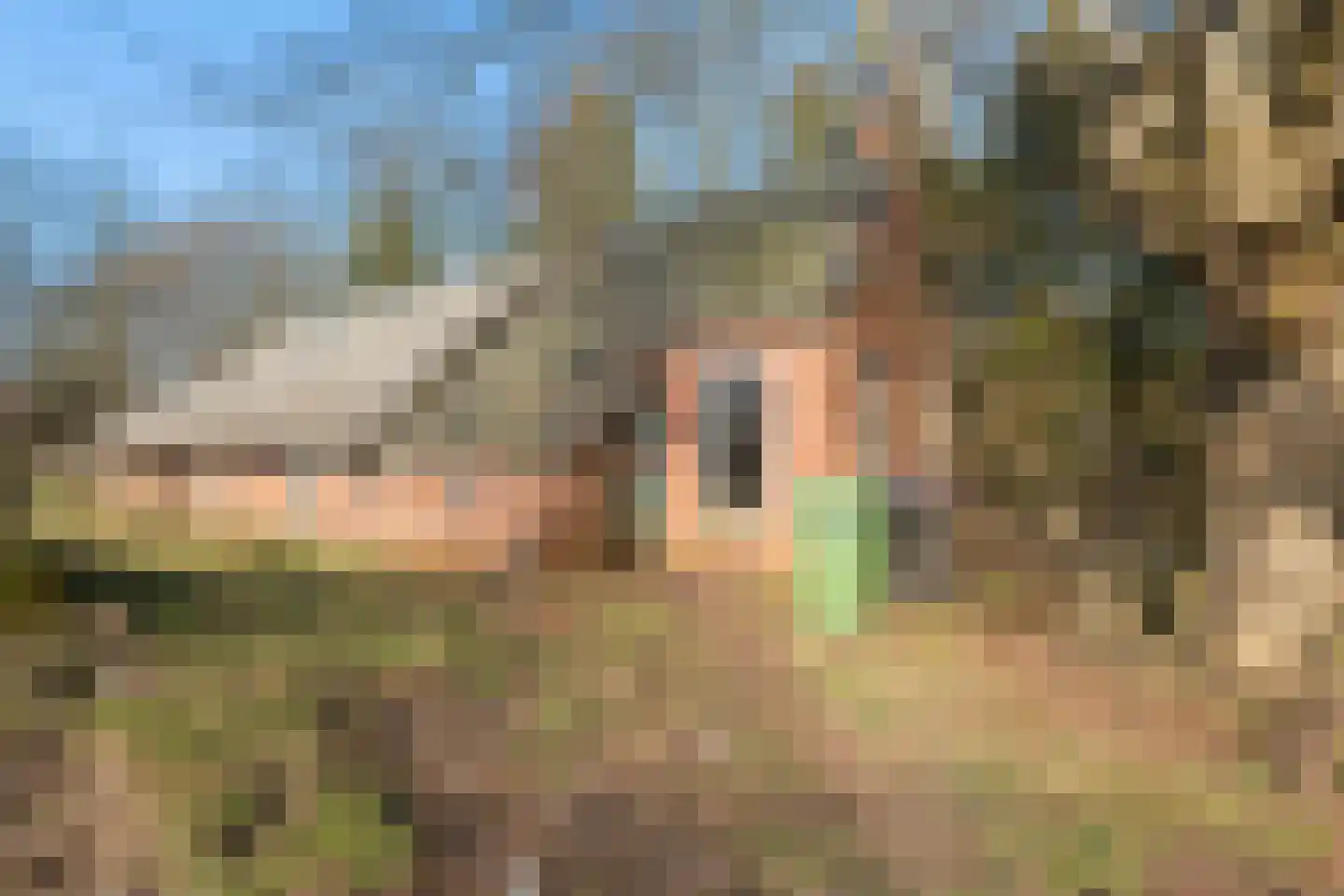 Spekloane 33 Boelenslaan thumbnail 10
