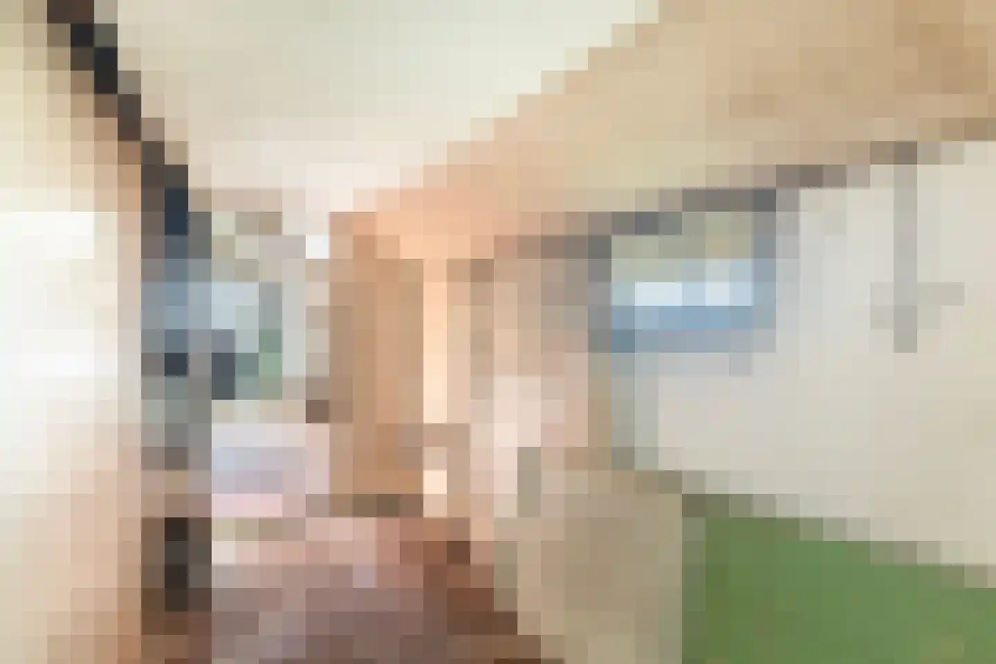 Spekloane 33 Boelenslaan thumbnail 13