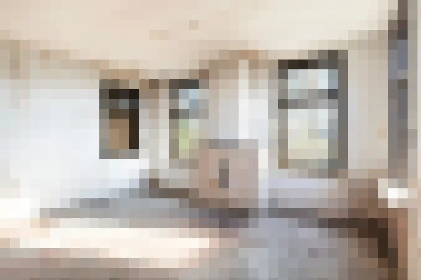 Spekloane 33 Boelenslaan thumbnail 14