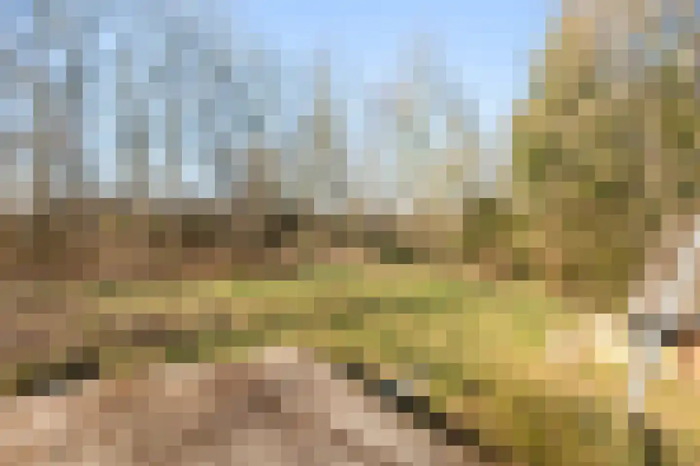 Spekloane 33 Boelenslaan thumbnail 25
