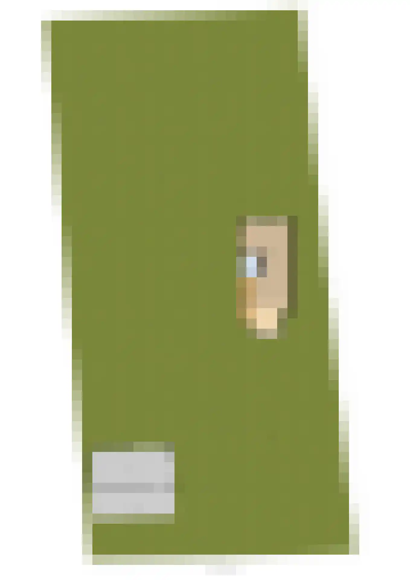 Spekloane 33 Boelenslaan thumbnail 32