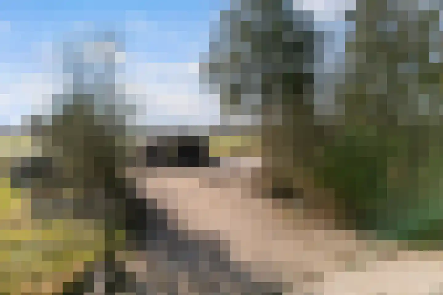 Spekloane 33 Boelenslaan thumbnail 6