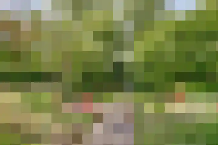 Spekloane 54 Boelenslaan thumbnail 10