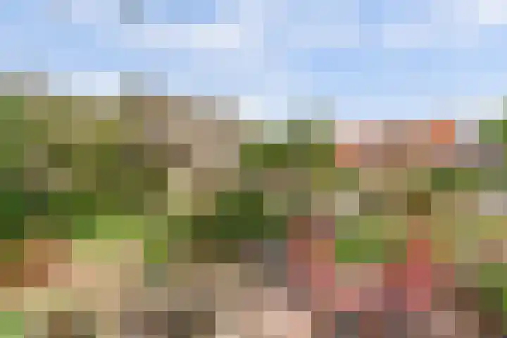 Spekloane 54 Boelenslaan thumbnail 11