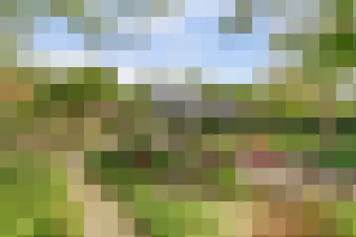 Spekloane 54 Boelenslaan thumbnail 12