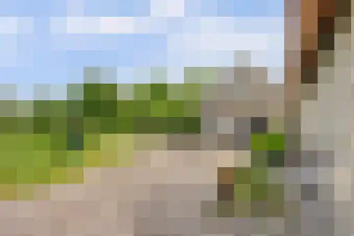 Spekloane 54 Boelenslaan thumbnail 14