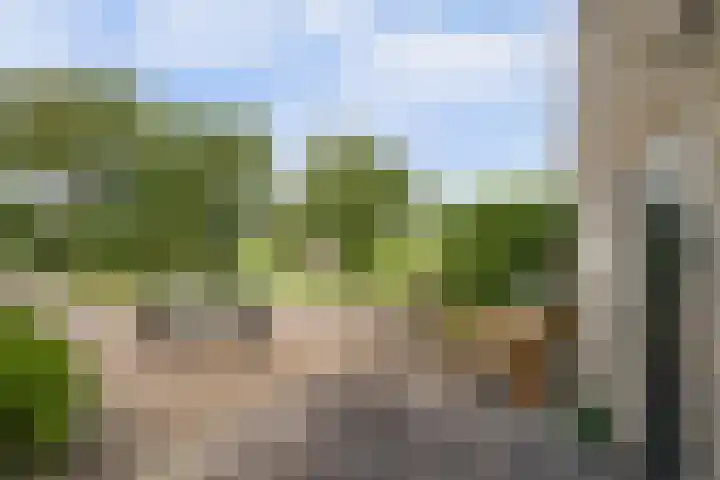 Spekloane 54 Boelenslaan thumbnail 15