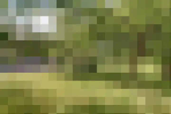 Spekloane 54 Boelenslaan thumbnail 16