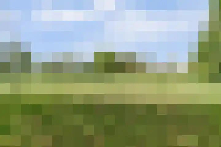 Spekloane 54 Boelenslaan thumbnail 17