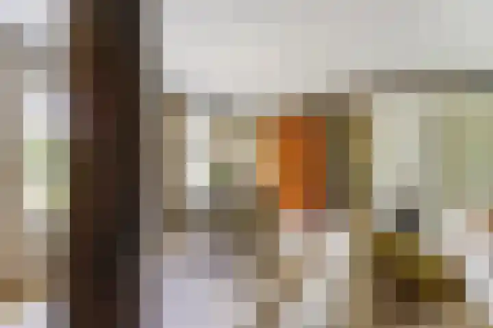 Spekloane 54 Boelenslaan thumbnail 26
