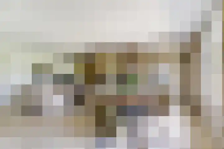 Spekloane 54 Boelenslaan thumbnail 27
