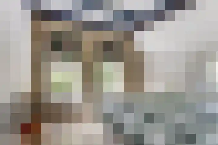 Spekloane 54 Boelenslaan thumbnail 29