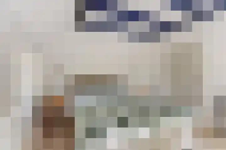 Spekloane 54 Boelenslaan thumbnail 30