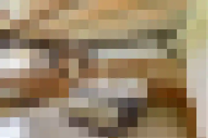 Spekloane 54 Boelenslaan thumbnail 34