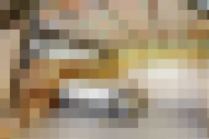 Spekloane 54 Boelenslaan thumbnail 35