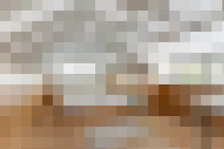 Spekloane 54 Boelenslaan thumbnail 39