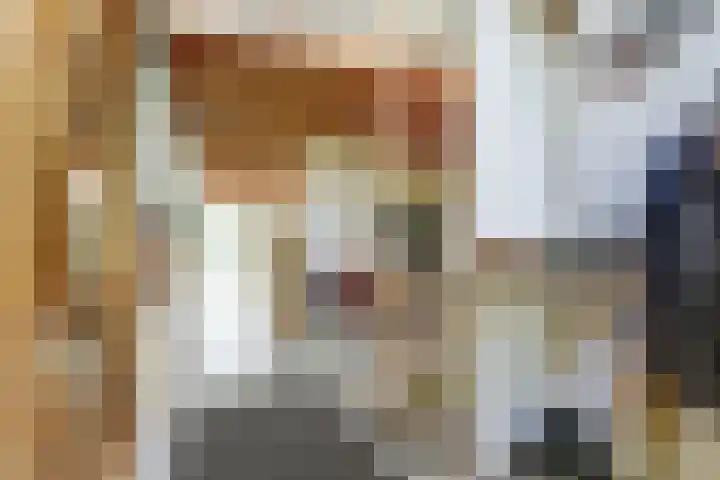 Spekloane 54 Boelenslaan thumbnail 41