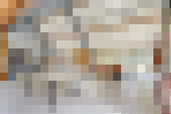 Spekloane 54 Boelenslaan thumbnail 42