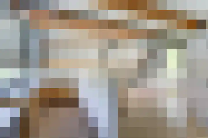 Spekloane 54 Boelenslaan thumbnail 45