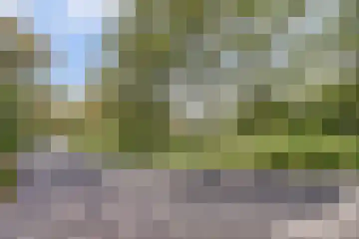 Spekloane 54 Boelenslaan thumbnail 47