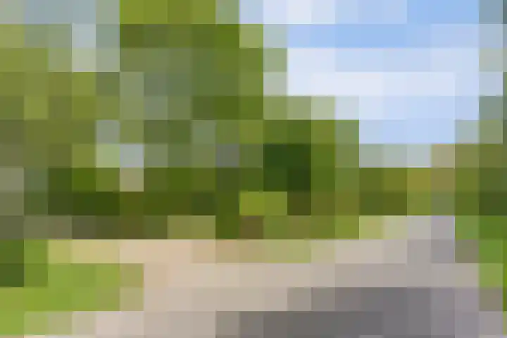 Spekloane 54 Boelenslaan thumbnail 48