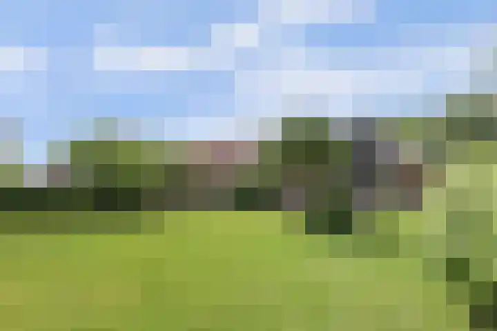 Spekloane 54 Boelenslaan thumbnail 5