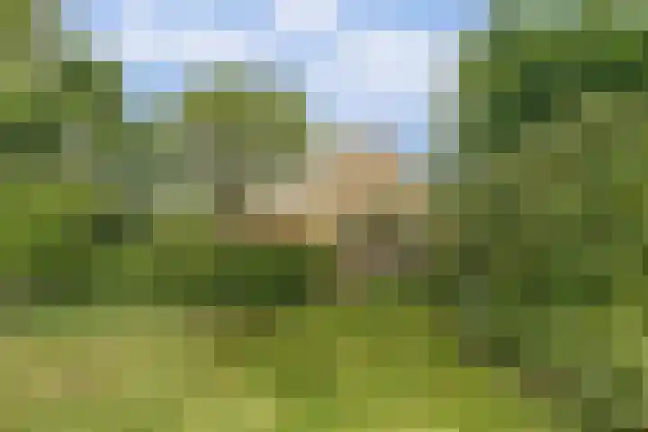 Spekloane 54 Boelenslaan thumbnail 55