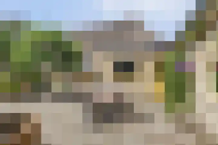 Spekloane 54 Boelenslaan thumbnail 7