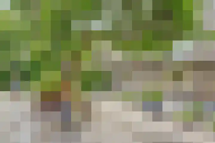 Spekloane 54 Boelenslaan thumbnail 8