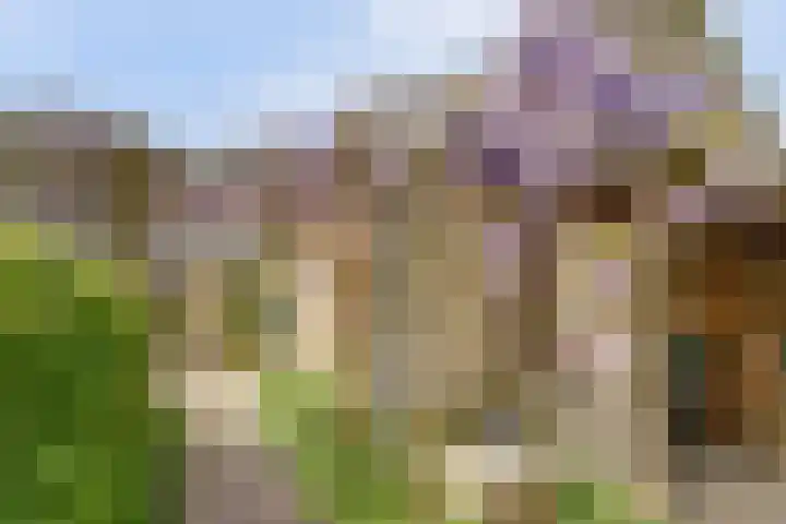 Spekloane 54 Boelenslaan thumbnail 9