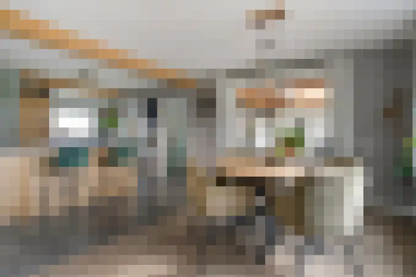 Spekopswijk 11 Dedemsvaart thumbnail 16