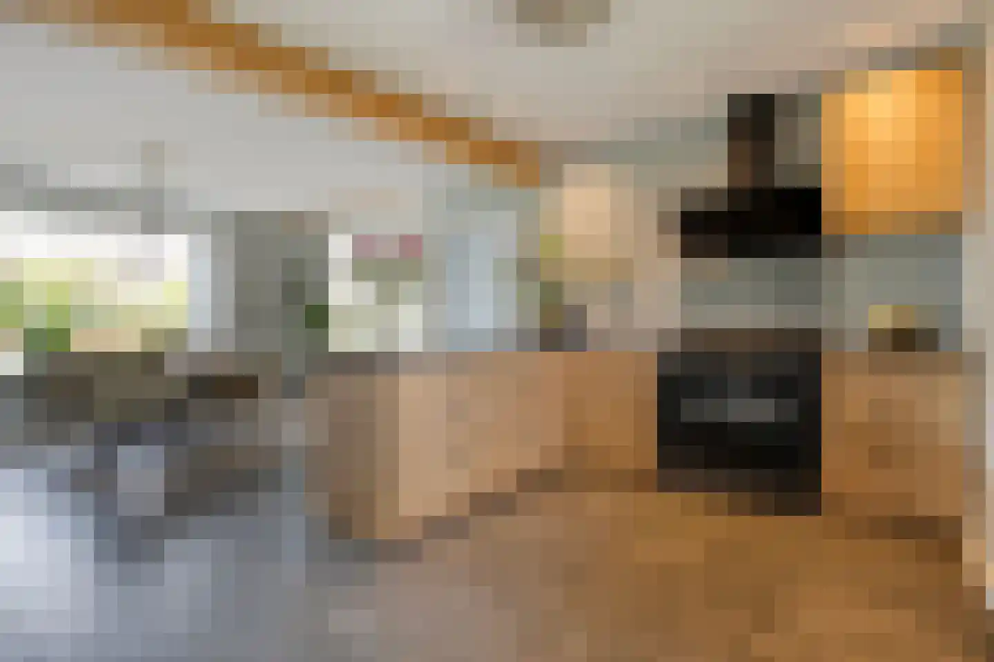 Spekopswijk 11 Dedemsvaart thumbnail 19