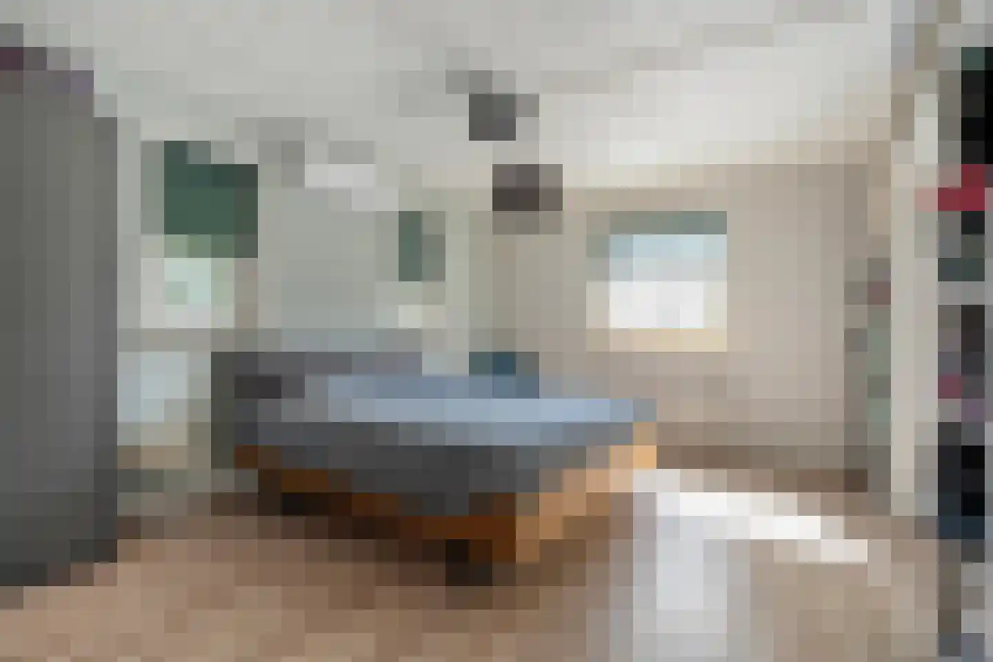 Spekopswijk 11 Dedemsvaart thumbnail 28