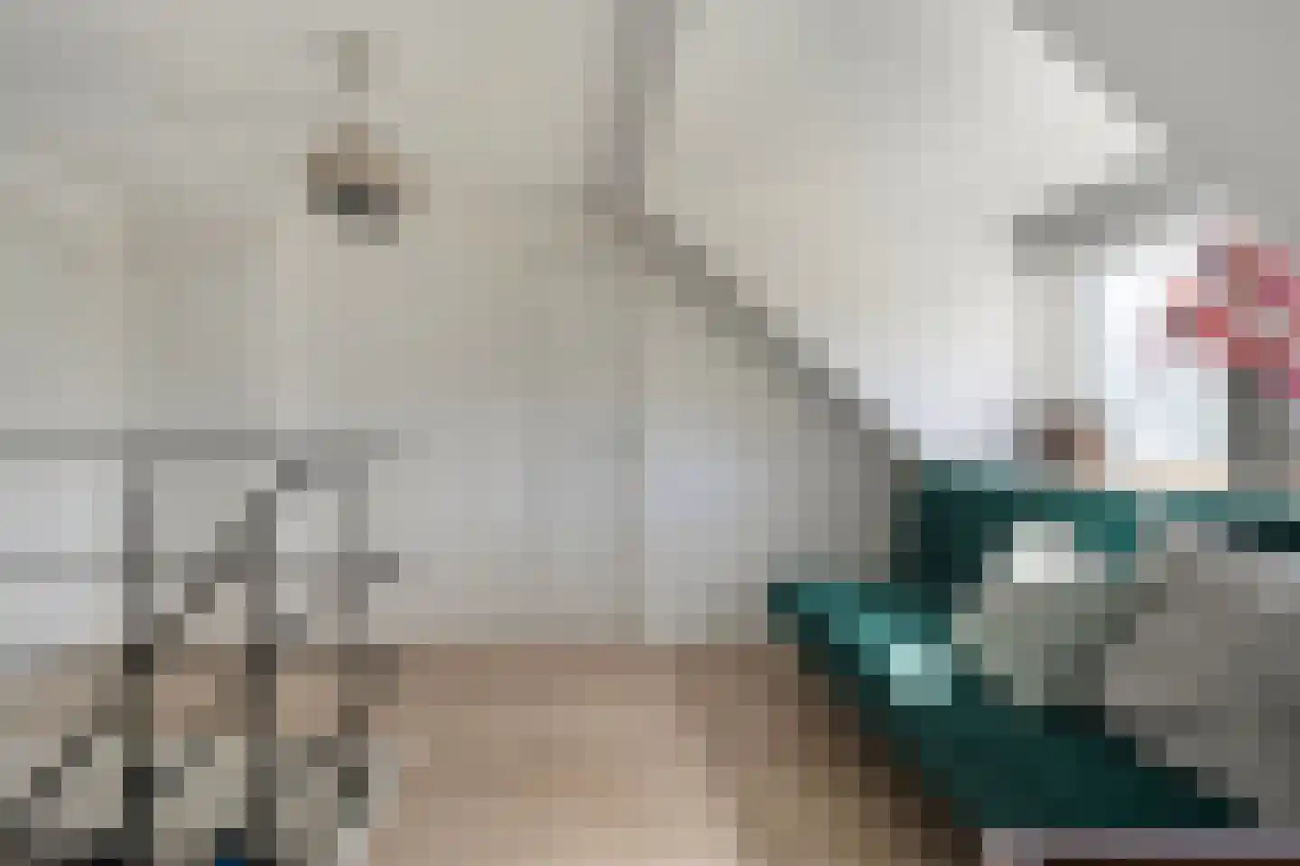 Spekopswijk 11 Dedemsvaart thumbnail 33