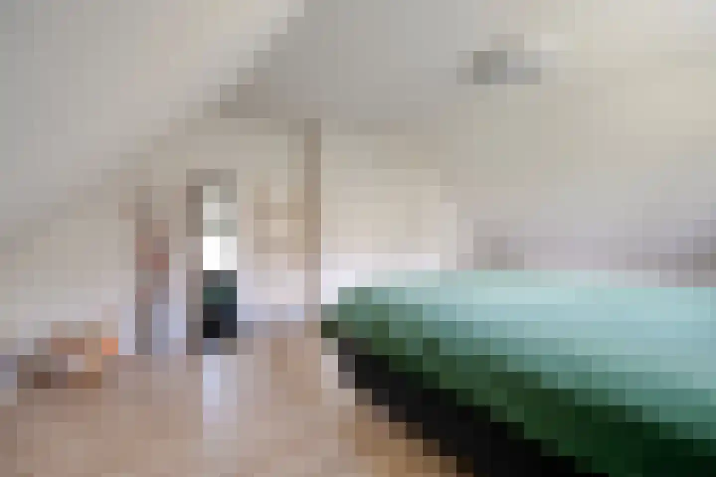 Spekopswijk 11 Dedemsvaart thumbnail 35