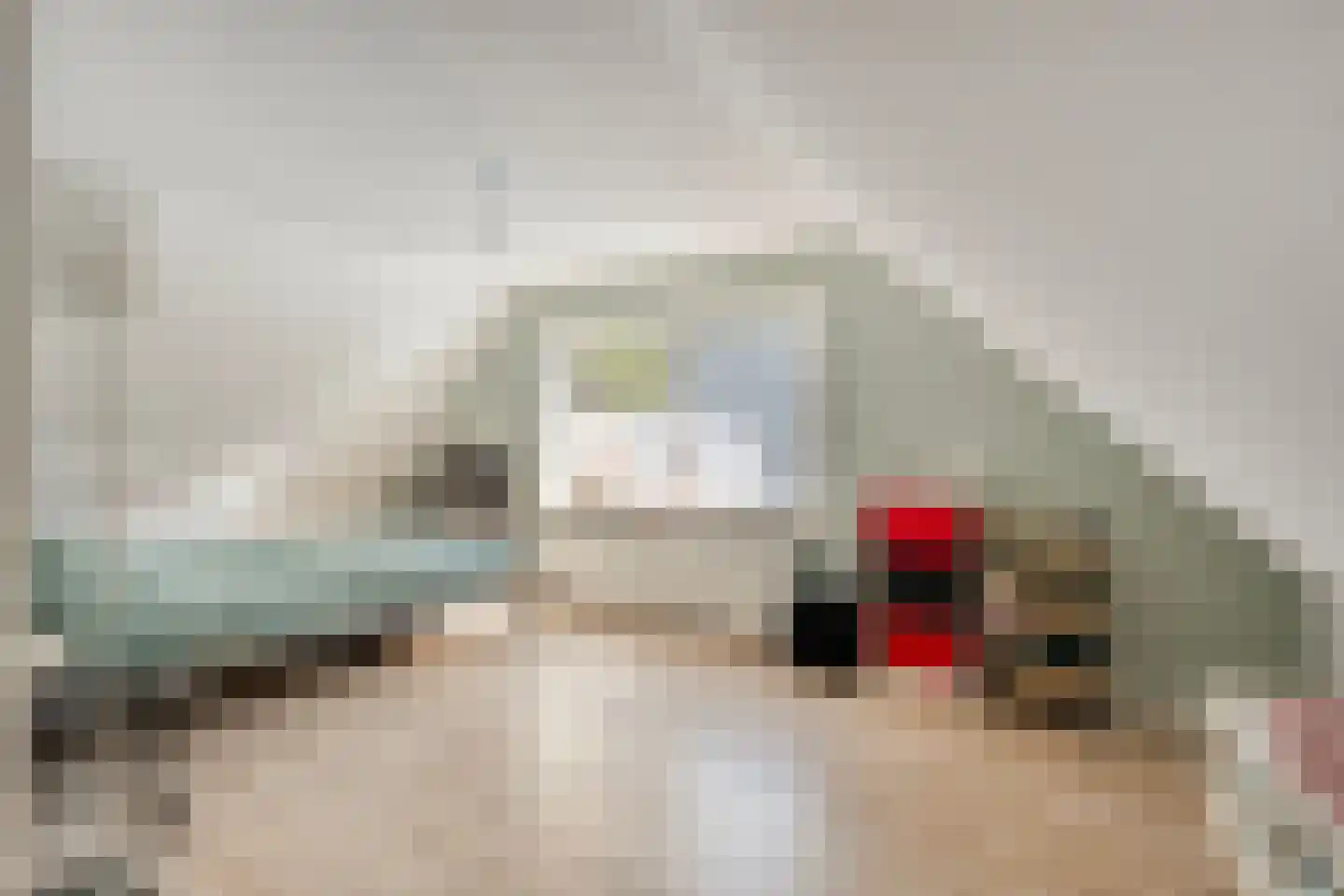 Spekopswijk 11 Dedemsvaart thumbnail 36