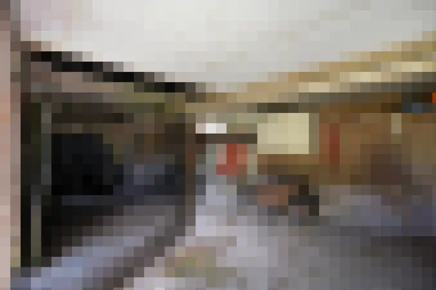 Spekopswijk 11 Dedemsvaart thumbnail 41