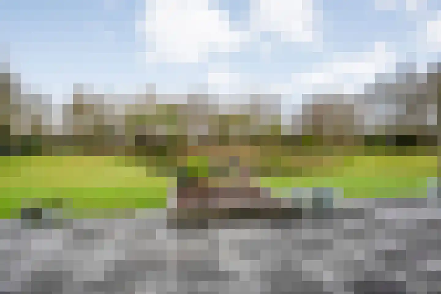 Spekopswijk 11 Dedemsvaart thumbnail 42