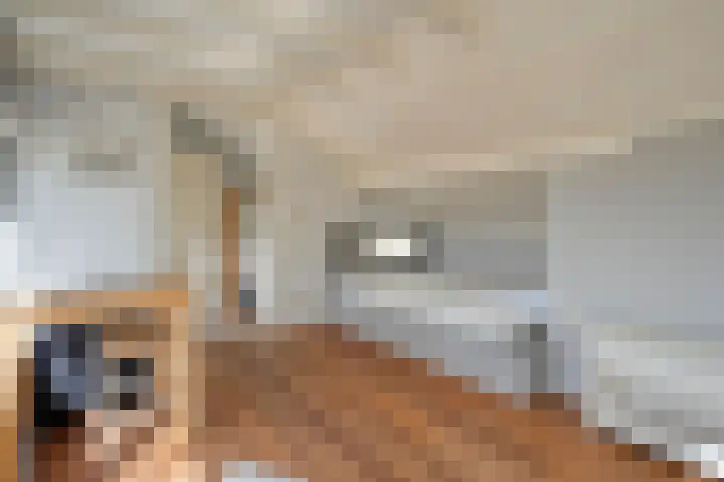 Spekopswijk 11 Dedemsvaart thumbnail 50