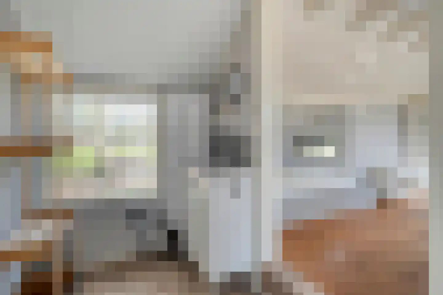 Spekopswijk 11 Dedemsvaart thumbnail 51