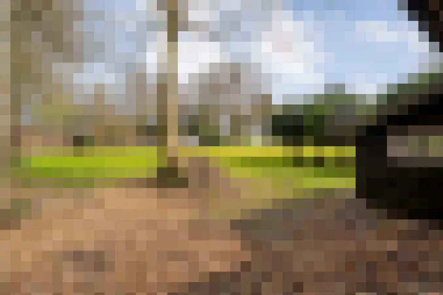 Spekopswijk 11 Dedemsvaart thumbnail 53